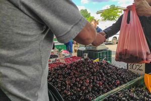 pierwsze czereśnie w sprzedaży