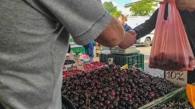 W sprzedaży pierwsze czereśnie. Wyjątkowo drogi start sezonu