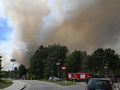 Pożar Puszczy Solskiej