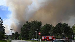 Pożar Puszczy Solskiej