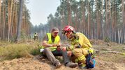 Pożar lasu w Puszczy Solskiej