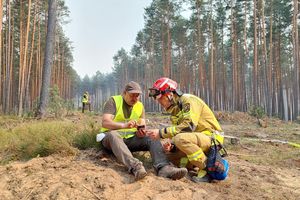 Pożar lasu w Puszczy Solskiej