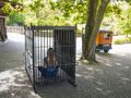 ZOO