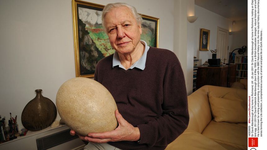 sir David Attenborough