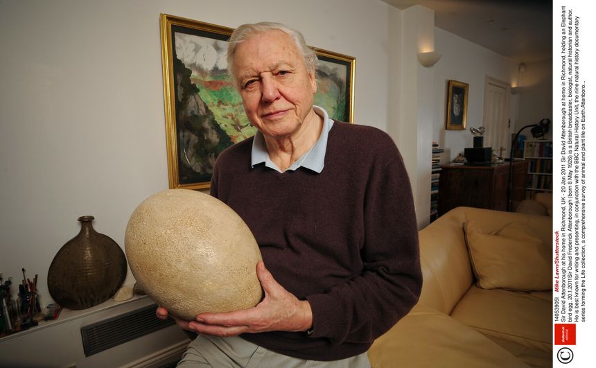 sir David Attenborough