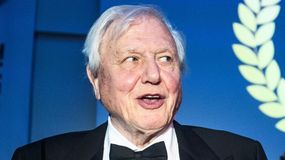 David Attenborough świętuje 100. urodziny