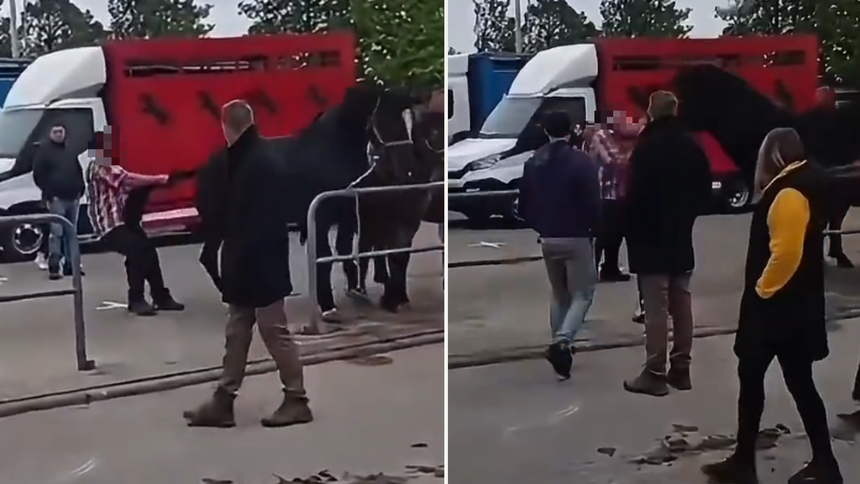 Mężczyzna kopnięty przez konia