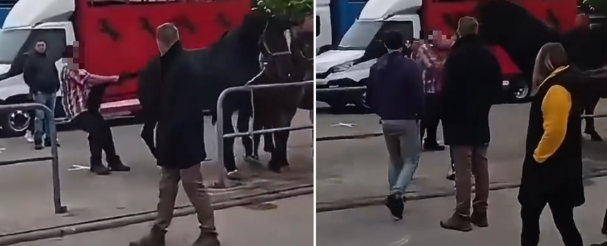 Mężczyzna kopnięty przez konia
