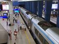 pendolino