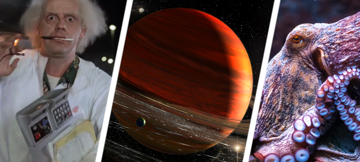 Powrót do przyszłości, Saturn, ośmiornica