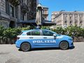 Policja