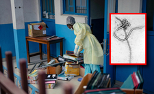 Wirus Ebola w Afryce. WHO ogłasza alarm międzynarodowy