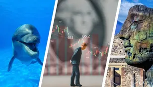 Dolphin swimming in blue water, stock market graph, and stone statue on the right.