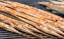 Grillowana belona