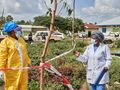 Wirus Ebola w Afryce