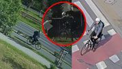 Skandaliczny incydent we Wrocławiu