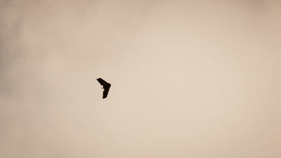 Kolejny incydent w kraju NATO. Dron wpadł do jeziora i eksplodował, akcja służb