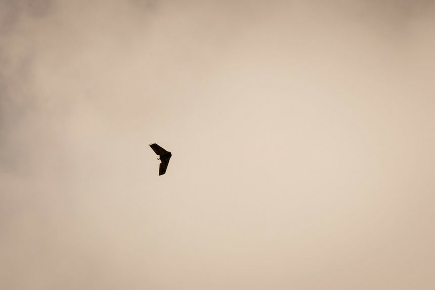 dron