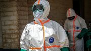 Ebola w Kongo