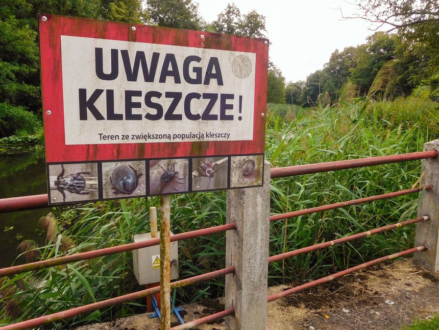 Zdjęcie ilustracyjne