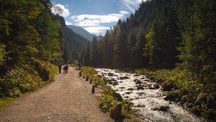 Dolina Kościeliska (Tatry) 