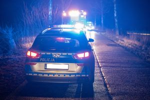 policja
