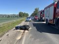 wypadek w Gnojewie