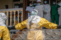 Epidemia eboli. Nowe informacje