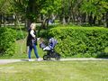 Kobieta z wózkiem spacerowym przechadza się parkiem wśród zieleni drzew i krzewów.