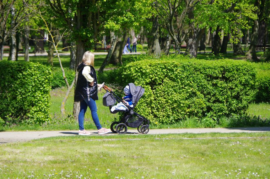 Kobieta z wózkiem spacerowym przechadza się parkiem wśród zieleni drzew i krzewów.