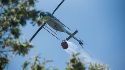 Potężny pożar lasu na Pomorzu. W akcji 33 zastępy straży pożarnej, samoloty i drony
