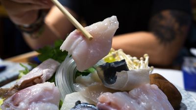 Trująca ryba fugu