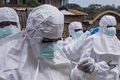 Ebola. Polska zagrożona epidemią?