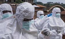 Ebola. Polska zagrożona epidemią?