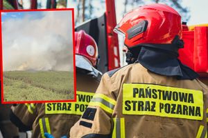 Straż pożarna. Pożar lasu pod Warszawą