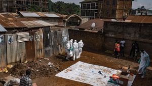 Ebola w Kongo