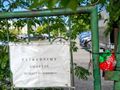 praca, emeryci