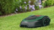 Robot koszący na zadbanym trawniku, w tle kwitnące fioletowe kwiaty.