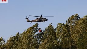 Pożar lasu w powiecie wołomińskim