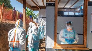 Ebola w Kongo