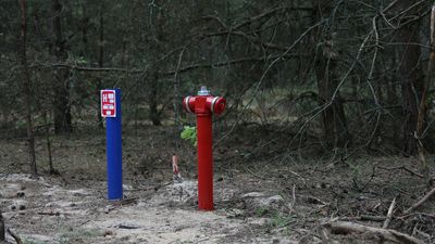 Przez ile dni musi padać, by w Polsce nie było suszy? Ekspert wyjaśnia