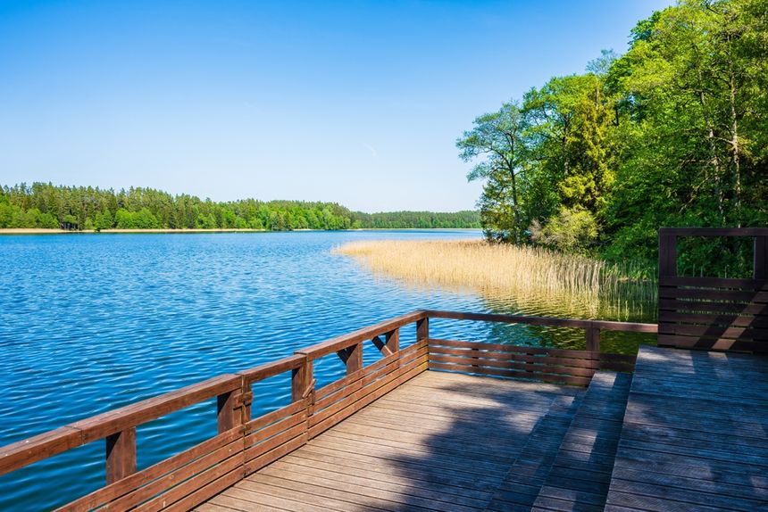 Widok na spokojne jezioro otoczone zielenią drzew, drewniana pomost w pierwszym planie.