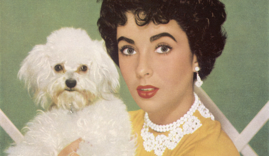 Elizabeth Taylor