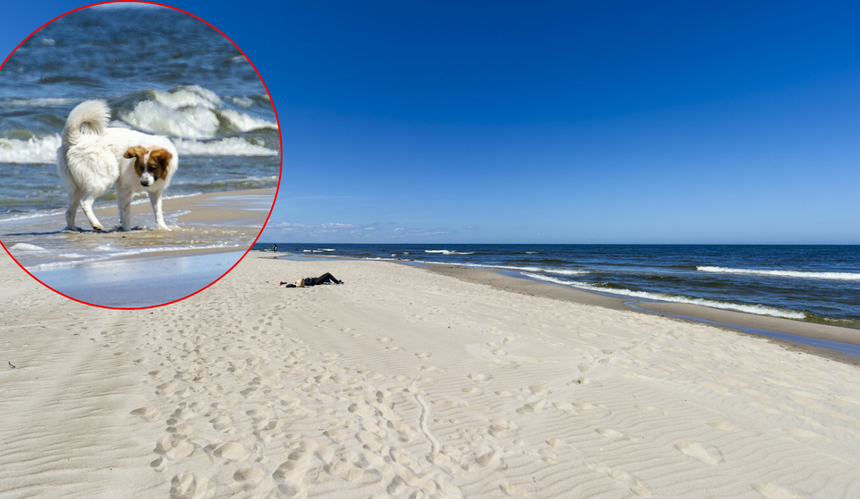 Plaża w Sztutowie