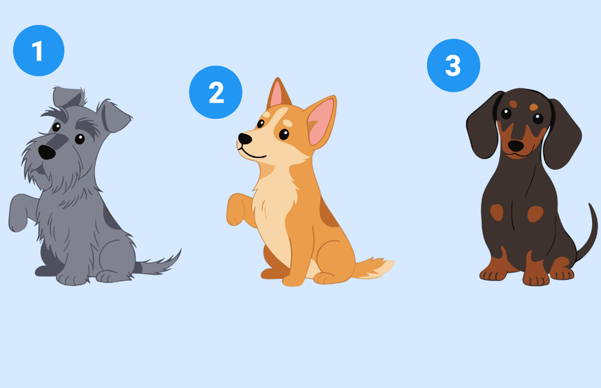 Psychotest: terier, pembroke west corgi, jamnik