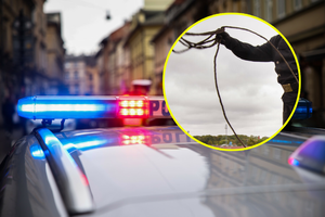 Policja