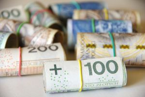 Na zdjęciu widoczne są zwinięte banknoty polskich złotych w różnych nominałach.