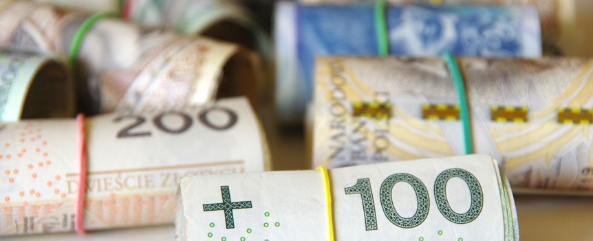 Na zdjęciu widoczne są zwinięte banknoty polskich złotych w różnych nominałach.