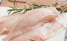tilapia ryba zdrowie wartości odżywcze