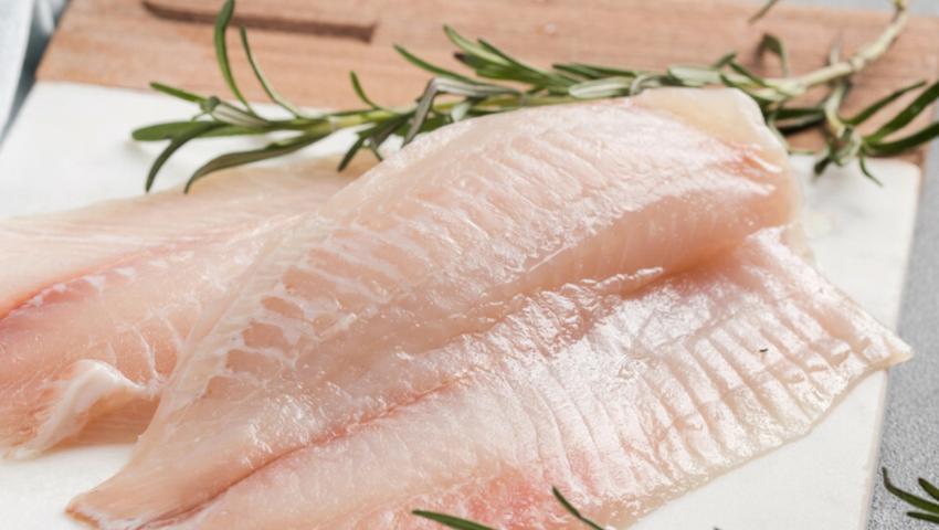 tilapia ryba zdrowie wartości odżywcze
